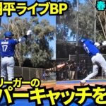 マイナーリーガーのスーパーキャッチを両手をあげて喜ぶ大谷翔平🙌マイナーリーガー相手に2度目のライブBPをした大谷翔平【現地映像】2025年2月27日スプリングトレーニング