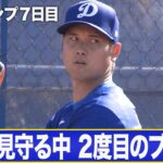 大谷翔平 2度目のブルペンに！井端弘和監督、首脳陣も熱視線！！【MLBキャンプ/ドジャース】