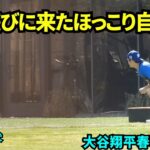 犬に好かれる大谷翔平！自主トレ中3回も犬が遊びにきたw大谷もほっこりな表情【現地映像】スプリングトレーニング