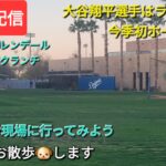 【ライブ配信】大谷翔平選手はライブBPで今季初ホームラン⚾️ホームラン現場に行ってみよう⚾️気ままにお散歩🐶します💫Shinsuke Handyman がライブ配信中！