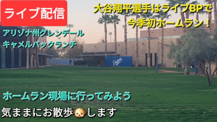 【ライブ配信】大谷翔平選手はライブBPで今季初ホームラン⚾️ホームラン現場に行ってみよう⚾️気ままにお散歩🐶します💫Shinsuke Handyman がライブ配信中！