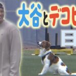 大谷翔平とデコピンのほのぼのDAY