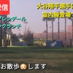 【ライブ配信】大谷翔平選手は壁あてと室内練習場で打撃練習をする⚾️気ままにお散歩🐶します💫Shinsuke Handyman がライブ配信中！