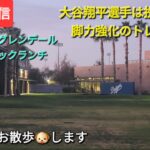 【ライブ配信】大谷翔平選手は投球練習や脚力強化トレーニングをする⚾️気ままにお散歩🐶します💫Shinsuke Handyman がライブ配信中！