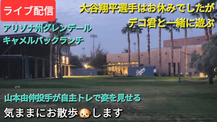 【ライブ配信】大谷翔平選手はお休みでしたが…デコピン君と一緒に遊ぶ⚾️山本由伸投手は自主トレで姿を見せる⚾️気ままにお散歩🐶します💫Shinsuke Handyman がライブ配信中！