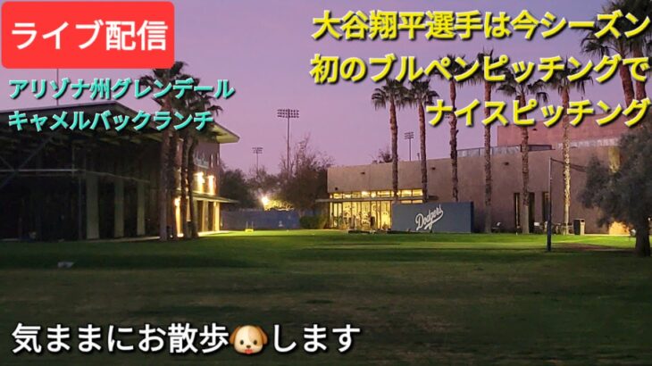 【ライブ配信】大谷翔平選手は今シーズン初のブルペンピッチングでナイスピッチング⚾️気ままにお散歩🐶します💫Shinsuke Handyman がライブ配信中！