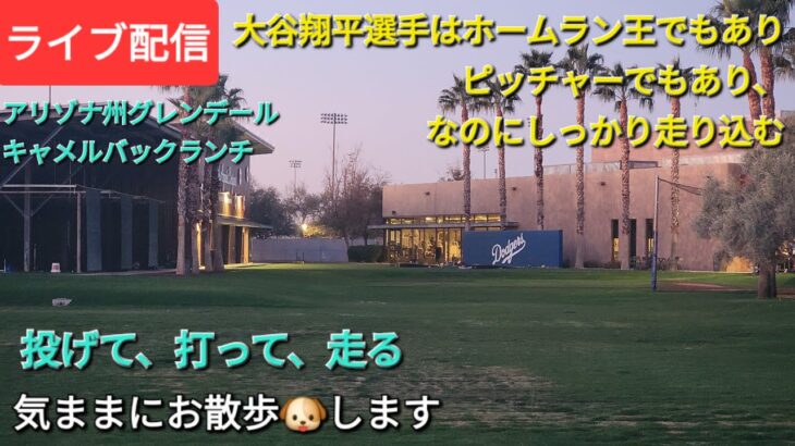 【ライブ配信】大谷翔平選手はホームランであり、ピッチャーでもあり、それでもしっかり走り込む⚾️気ままにお散歩🐶します💫Shinsuke Handyman がライブ配信中！