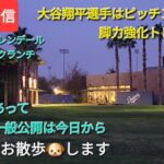 【ライブ配信】大谷翔平選手はピッチング練習と脚力強化トレーニング⚾️山本由伸投手はブルペンで投げる⚾️佐々木朗希投手はピッチング練習⚾️気ままにお散歩します💫