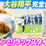 【真美子夫人と共に】大谷翔平がデコピンとキャンプ地に登場！リラックスタイムを満喫