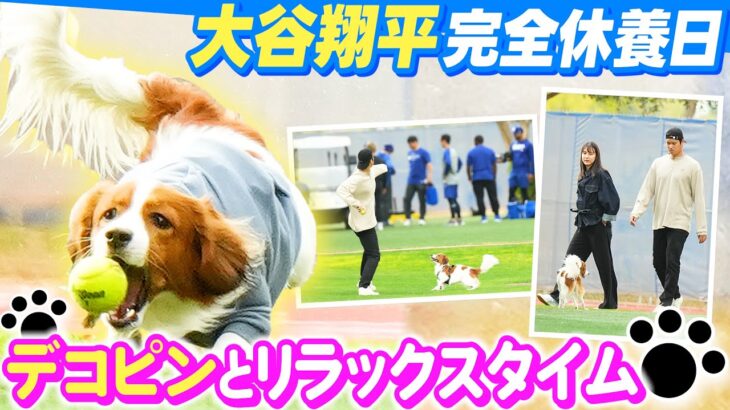 【真美子夫人と共に】大谷翔平がデコピンとキャンプ地に登場！リラックスタイムを満喫