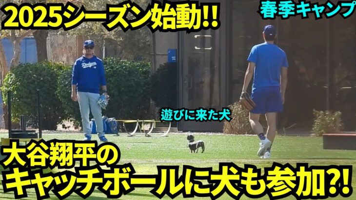 大谷のキャッチボール中に珍事件wキャッチボールに入りたい犬が来て笑顔になる大谷翔平【現地映像】スプリングトレーニング