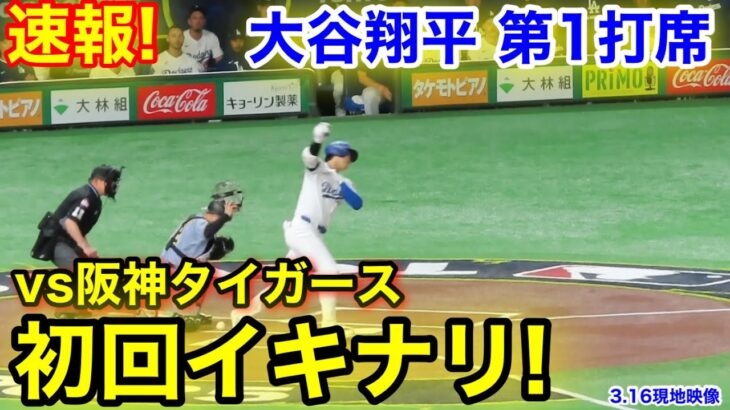 速報！衝撃の打席！大谷翔平　第1打席　【3.16現地映像】ドジャース0-0阪神タイガース1番DH大谷翔平  1回表無死ランナーなし