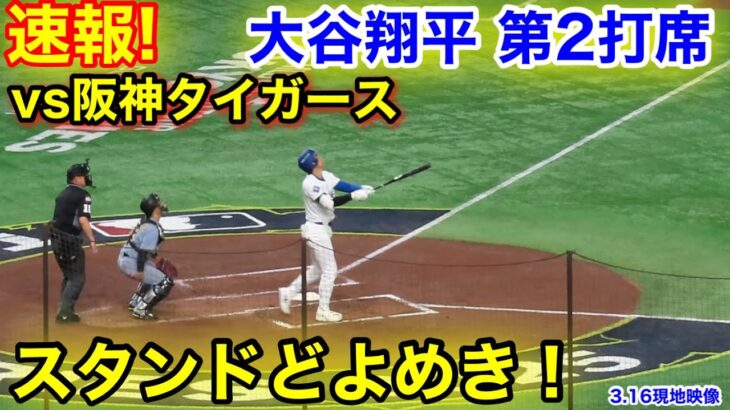 速報！どよめくスタジアム！大谷翔平　第2打席【3.16現地映像】ドジャース0-0阪神タイガース1番DH大谷翔平  3回表無2死ランナーなし