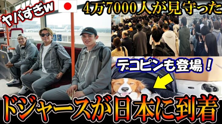 【大谷翔平】ドジャースが日本に到着！4万7000人がフライトを見守る！大谷「ただいま」スター軍団が日本にやってきた！デコピンもohtani