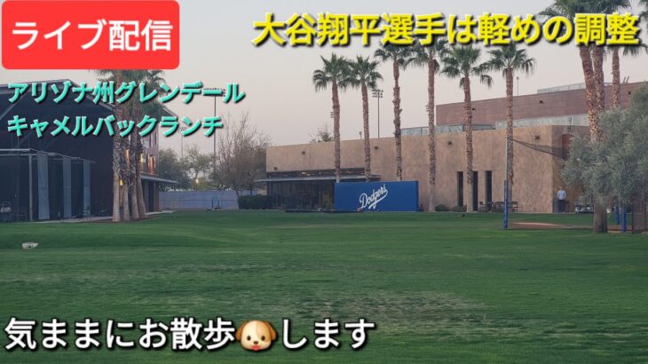 【ライブ配信】大谷翔平選手は軽めの調整⚾️今日のホワイトソックス戦で出場か❓⚾️気ままにお散歩します💫Shinsuke Handyman がライブ配信中！