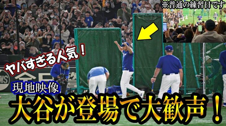 【大谷翔平】大谷がグラウンドに登場で現地大歓声！異例の歓声に選手も驚く！現地映像まとめ！カブスの今永翔太の練習や山本由伸や佐々木の記者会見も！ohtani