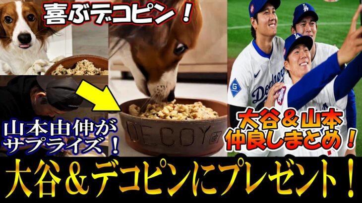 【大谷翔平】山本由伸が大谷にサプライズプレゼント！デコピン用のお手製お皿(陶器)を作る山本！大谷と山本の仲良しまとめshohei Ohtani！備前焼