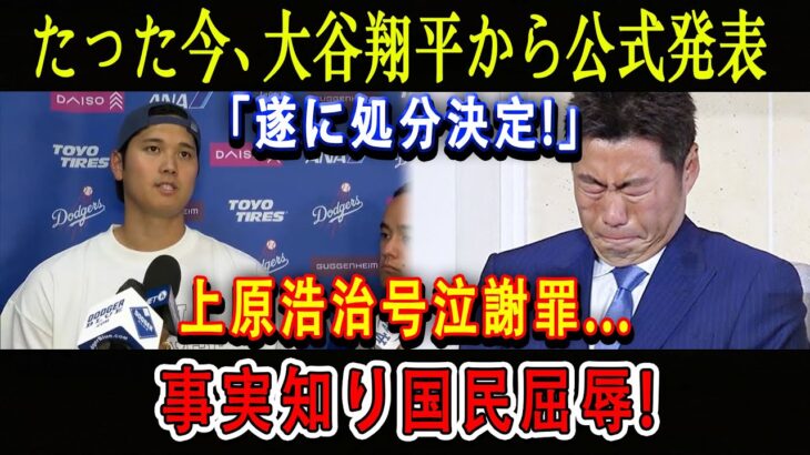 【速報】たった今、大谷翔平から公式発表「遂に処分決定!」上原浩治号泣謝罪…事実知り国民屈辱 !