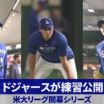 【詳報】ドジャースが練習公開 米大リーグ開幕シリーズ