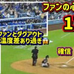 17号‼️ファンの心が救われたホームラン😊その時ダグアウトは…😓【現地映像】5/19vsDバックスShoheiOhtani Homerun
