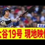 大谷翔平19号 現地映像まとめ