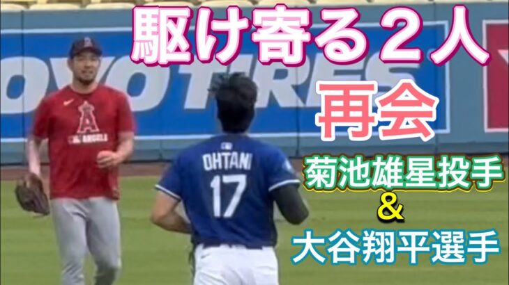 【駆け寄る2人再会💙】菊池雄星投手&大谷翔平選手！試合前練習【1番DH・大谷翔平選手】vsエンジェルス@ドジャー・スタジアム5/17/2025  #大谷翔平 #ohtani #菊池雄星