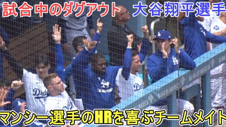 ♦️試合中のダグアウト♦️マンシー選手のHRを喜ぶチームメイト【大谷翔平選手】対マイアミ・マーリンズ～シリーズ最終戦～Shohei Ohtani vs Marlins 2025