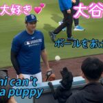 ワンコが好きすぎる大谷さん🐶❤️ボールをあげる⚾️エンゼルスウォードとの再会も☺️✨