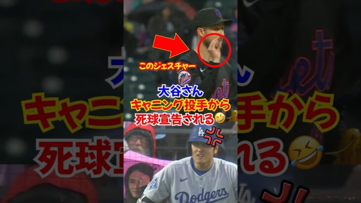 大谷翔平がキャニングから死球を予告されこの表情…メッツの選手からモテモテの大谷がヤバすぎる…#大谷翔平 #オオタニ #ドジャース