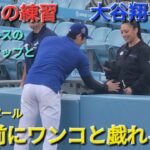 試合前の練習〜キャッチボール・最後は強めの投球〜【大谷翔平選手】練習前にワンコと戯れる🐶練習中にテイラー・ウォード選手と挨拶⚾️vsエンジェルス〜フリーウェイシリーズ初戦〜