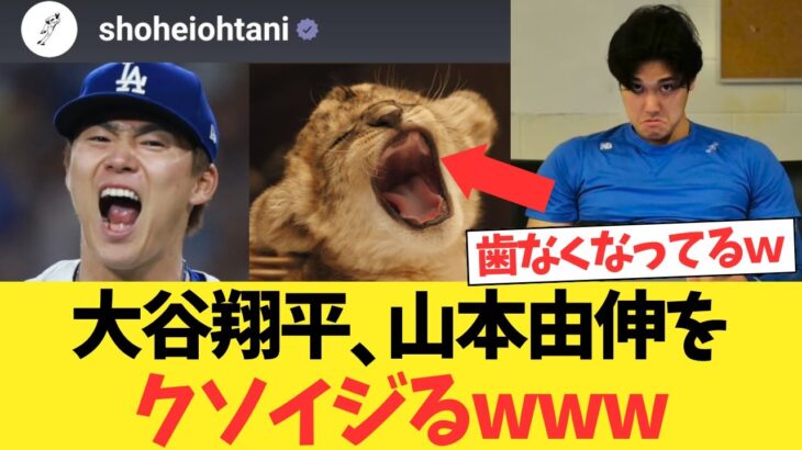 大谷翔平、山本由伸の好投を子ライオンイジリwwwwwwwwwwww