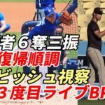 【大谷翔平】ダルビッシュ有が視察、44球、打者11人に無安打６奪三振！大谷翔平が３度目のライブBP・実戦登板！投手復帰へ着実に前進！上々の内容！