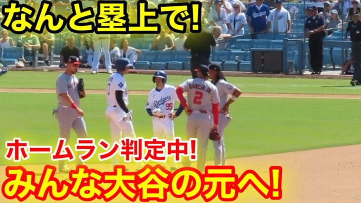 なんとHR判定中みんな大谷の元へ！憧れがスゴ過ぎる！現地映像