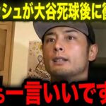 【大谷翔平】スアレス投手から死球を当てられた大谷にダルビッシュが送った謝罪のメッセージに全米が感涙！【海外の反応/MLB/野球】