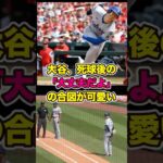 死球後の「大丈夫だよ」合図が可愛い大谷翔平　#ohtani #大谷 #大谷翔平 #shohei #shoheiohtani #死球 #デッドボール #ドジャース #dodgers