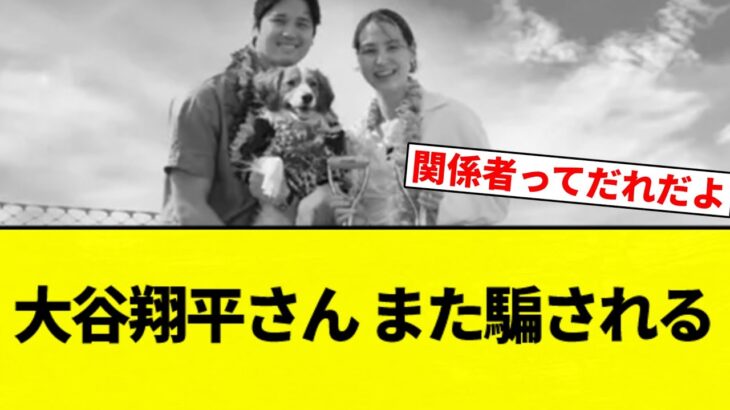 【また嘘つかれたんか…】大谷翔平さん、また騙される。ハワイの別荘いまだ建築開始されず【プロ野球反応集】【2chスレ】【なんG】