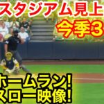 スタジアム見上げた！大谷31号豪快ホームラン瞬間スロー映像！現地映像
