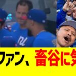 【海外反応】大谷翔平のスアレス報復死球煽り、海外MLBファンにバズるwwww