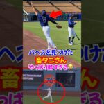 大谷翔平がまたしてもパヘスの守備をイジる畜谷発動…#ドジャース #大谷翔平 #エピソード