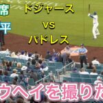 【ショウヘイを撮りたい！】第1打席【1番DH・大谷翔平選手】ドジャースvsパドレス第1戦@ドジャー・スタジアム8/15/2025  #大谷翔平 #ohtani  #dodgers