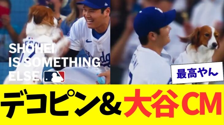 デコピンと大谷翔平、MLB公式のCMに出演！