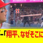 ヌートバー｢翔平､なぜそこにいる？」
