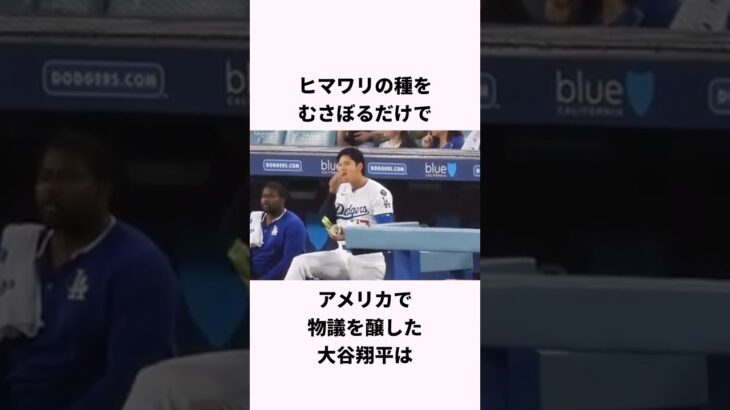 「ひまわりの種を行儀よく食べる」大谷翔平に関する雑学　#ショート #野球 #大谷翔平 #ドジャース