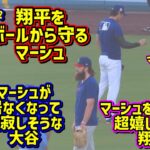 目撃‼️翔平を守るマーシュ😆超嬉しそうな大谷😂 【現地映像】9/15vs フィリーズShoheiOhtani