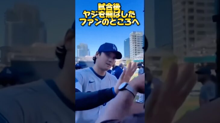【④超リアル】大谷翔平にヤジを飛ばしたパドレスファンのおっちゃん
