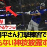 大谷翔平さん打撃練習でうっかりとんでもない神技披露してしまうwwwwwwwwww