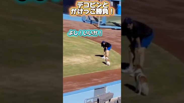 デコピンとかけっこ勝負するドジャース大谷翔平！BTSファンが真美子さんに苦言！ある物が話題に