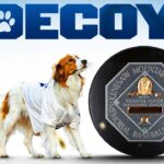 Decoy Ohtani: Most Valuable Pup! (Shohei Ohtani’s dog’s best moments 🥹)