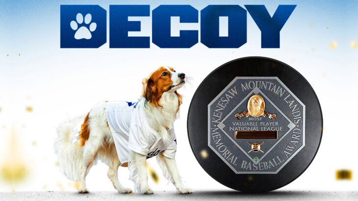 Decoy Ohtani: Most Valuable Pup! (Shohei Ohtani’s dog’s best moments 🥹)