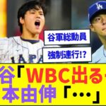 大谷翔平「WBC出るぞ!」山本由伸「…」ww【プロ野球ネット反応】